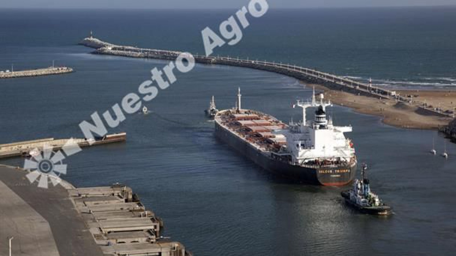 Los embarques de trigo crecieron un 23%